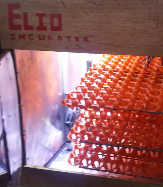 Elio modèle 500K-EI